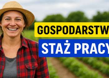 Praca w gospodarstwie rolnym do stażu pracy - zasady wliczania 7 Praca w gospodarstwie rolnym do stażu pracy