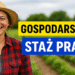 Praca w gospodarstwie rolnym do stażu pracy - zasady wliczania 5 Praca w gospodarstwie rolnym do stażu pracy